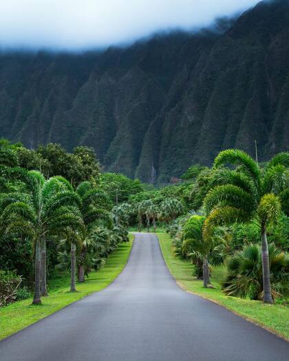 HoʻJardín Botánico de Somaluhia en Oahu, Hawái. Foto: Visit The USA / @king_roberto