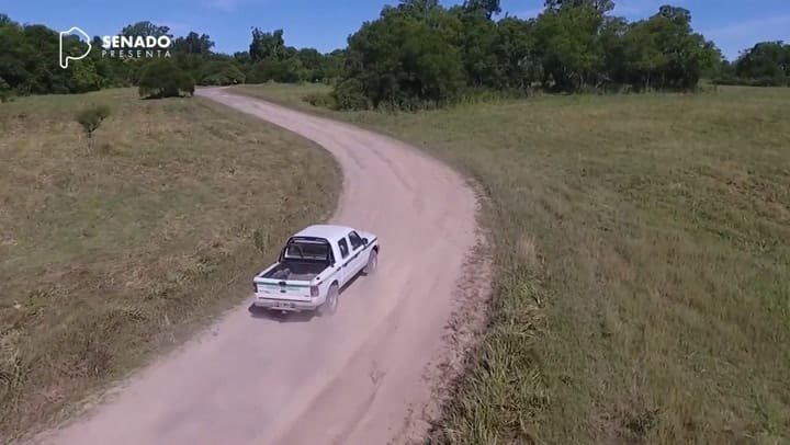 Cómo es la Reserva Natural Otamendi