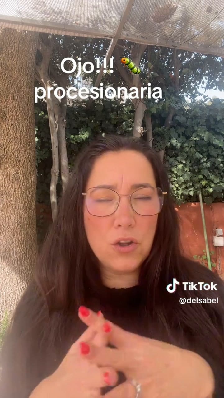 El consejo de una veterinaria para salir a pasear con tu perro y protegerlo de las orugas procesionarias