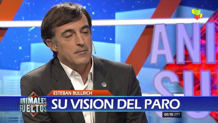 Esteban Bullrich en Animales Sueltos