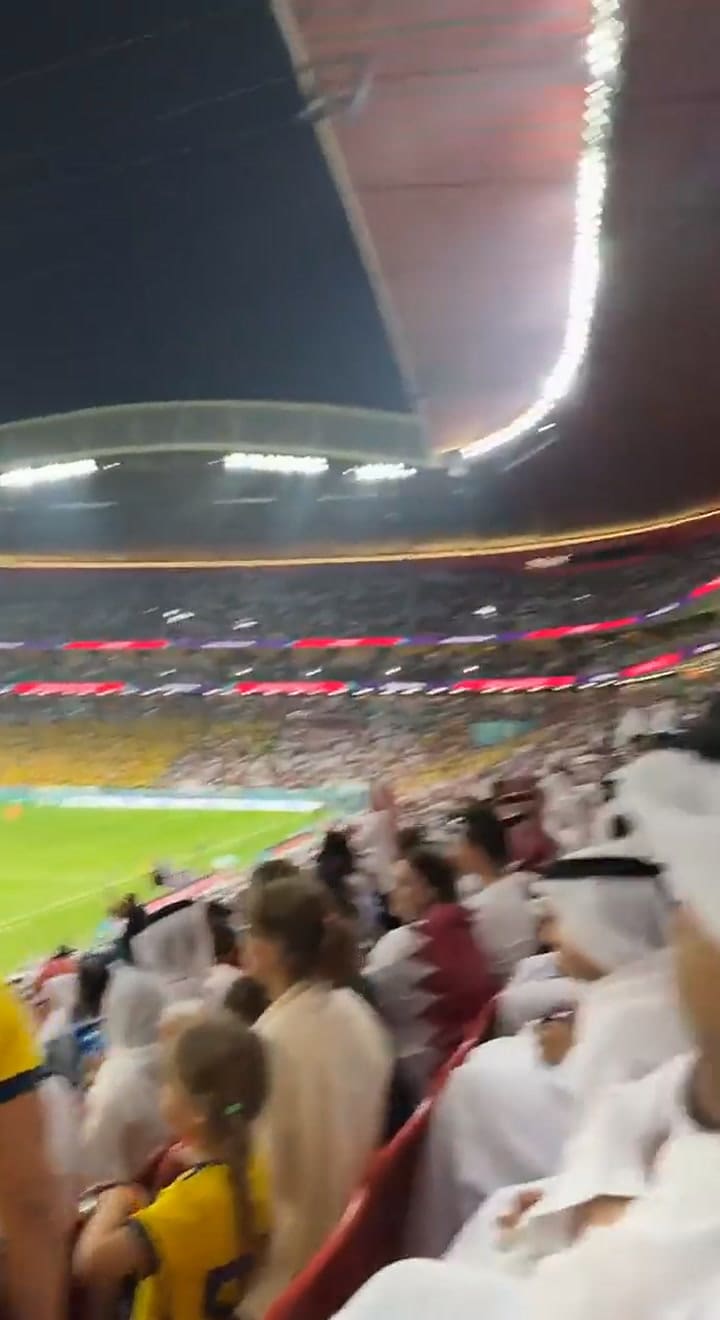 Por el gol anulado a Ecuador: un hincha de la “Tri” se trenzó con qataríes en la tribuna