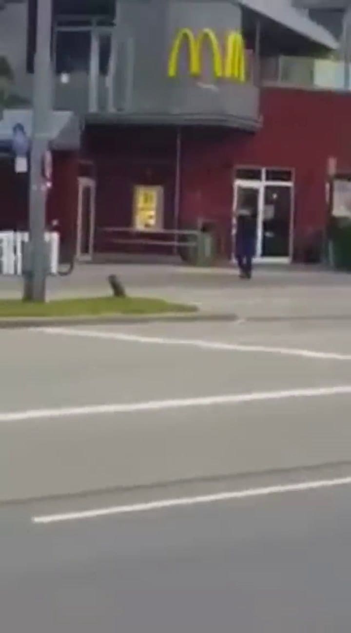 Así comenzaban los disparos en Munich