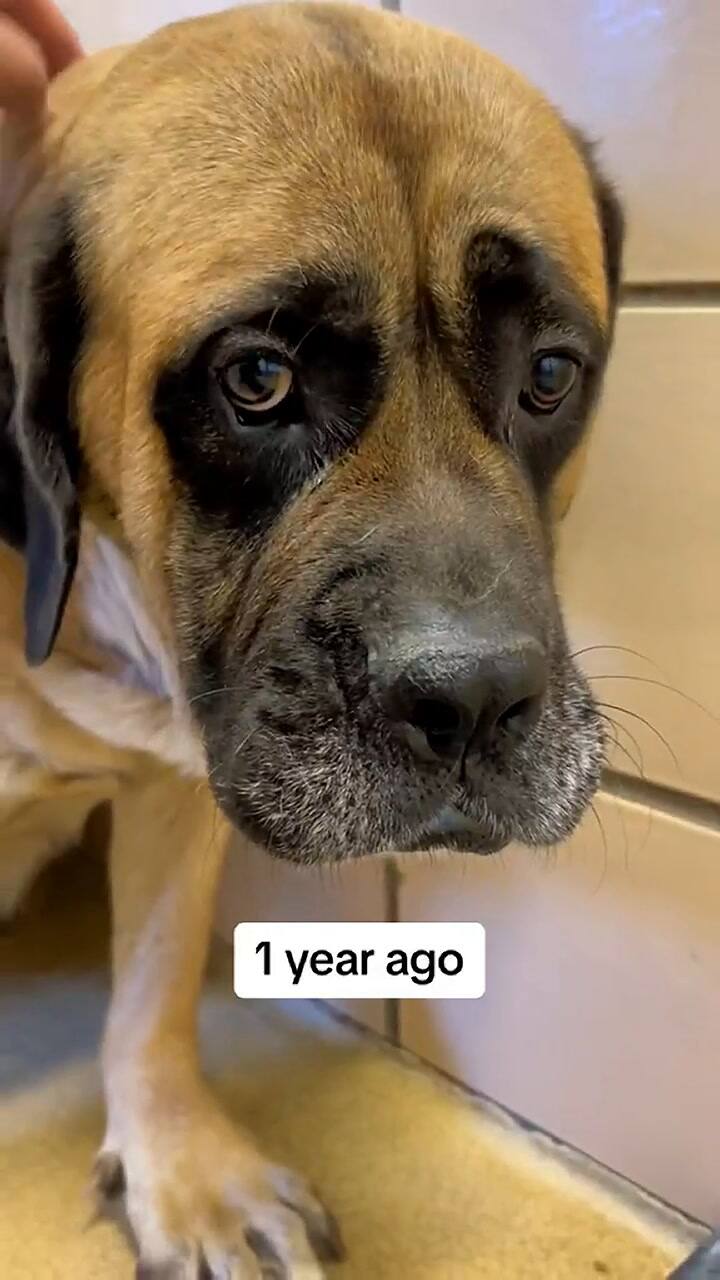 Daisy conquistó a la comunidad virtual con su transformación