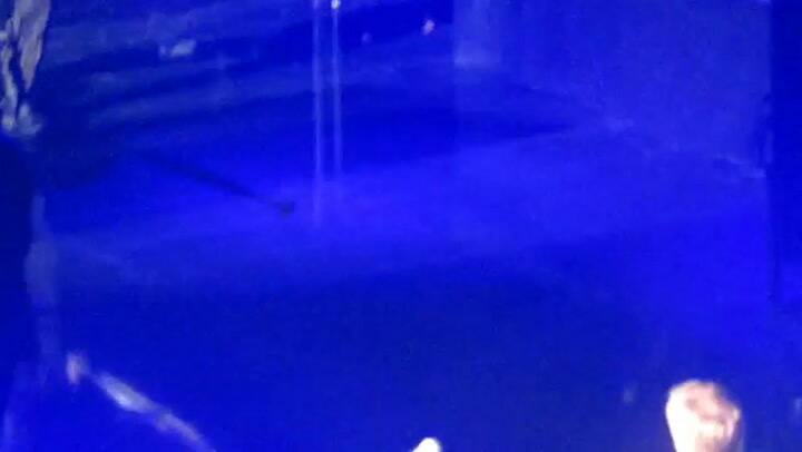 Paul McCartney y Steven Tyler cantaron juntos el clásico de los Beatles 'Helter Skelter'