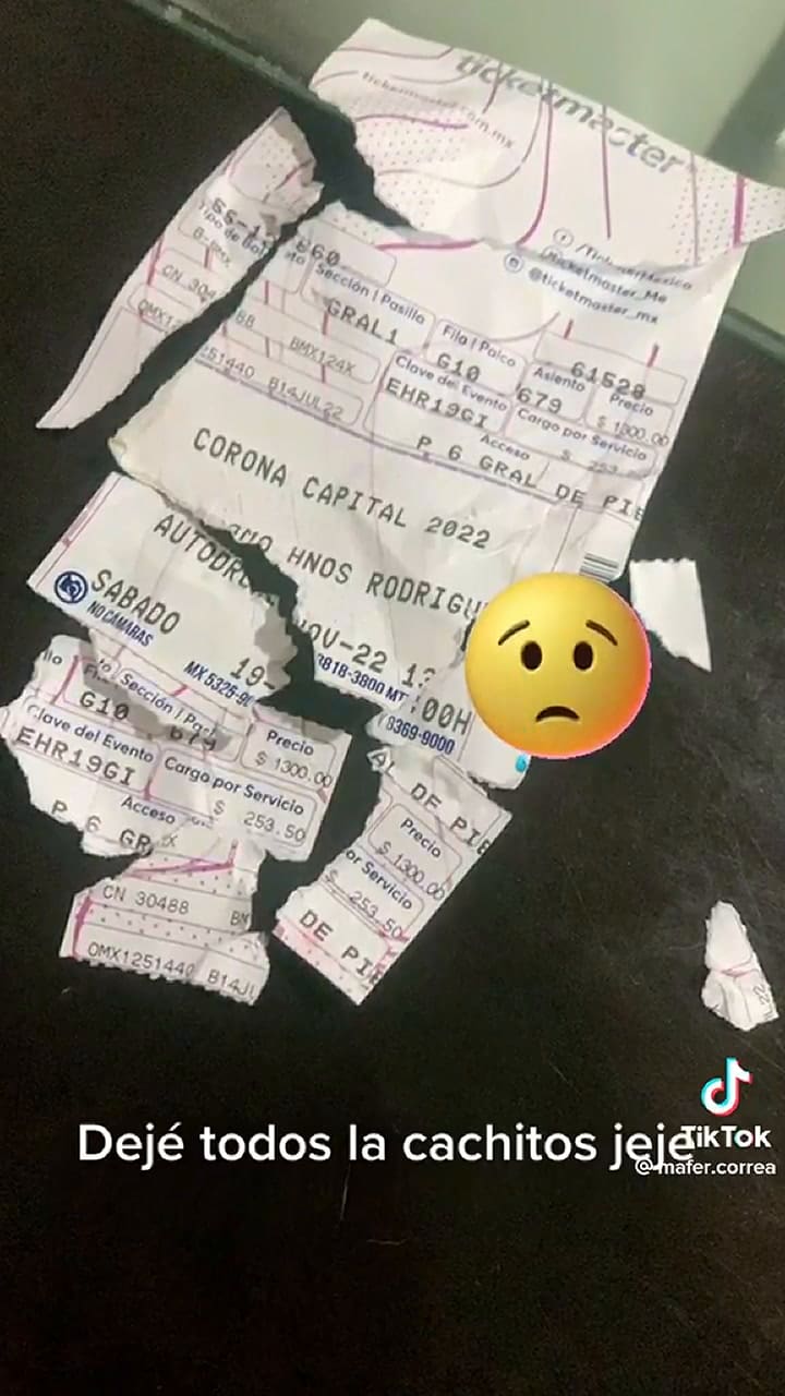 Su perro se comió su boleto
