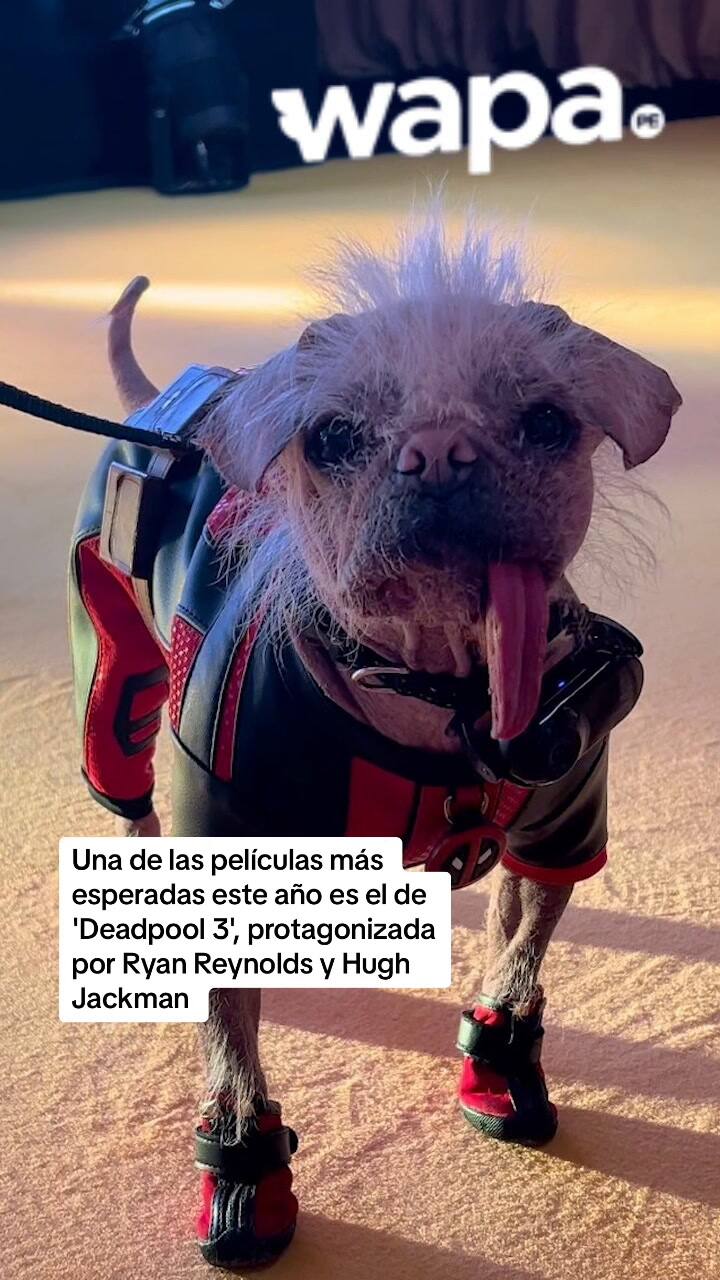 ¡Pero Si Es Una Belleza! ❤️