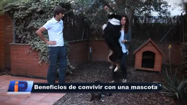 Los beneficios de convivir con un perro