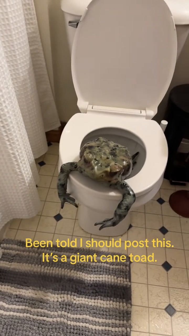 Ssstik.io 1696441688131