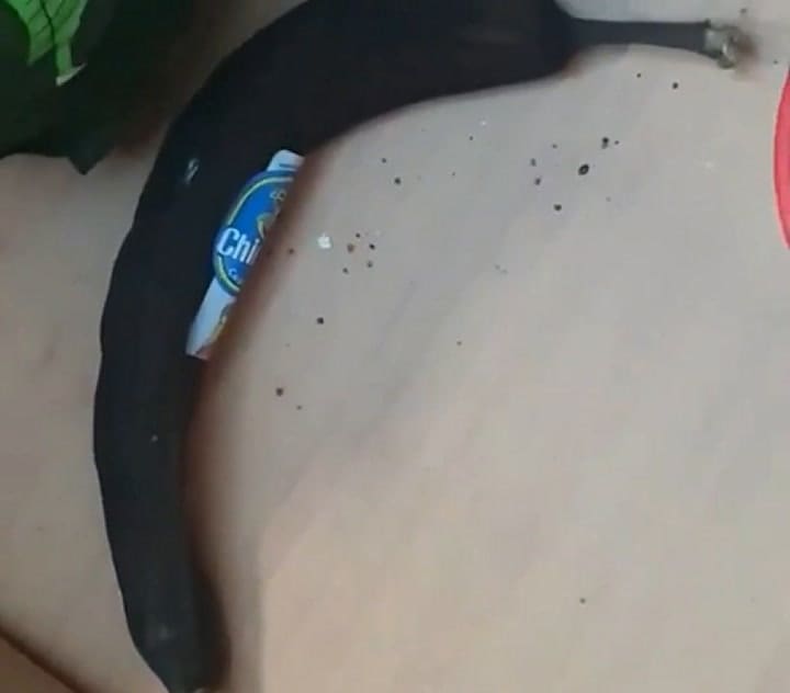 La desagradable sorpresa que encontró en su oficina tras nueve semanas de cuarentena