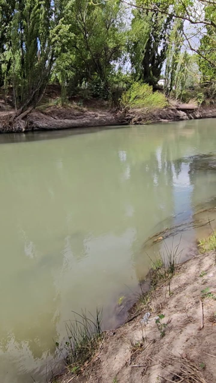 Gaiman 20241115 151334