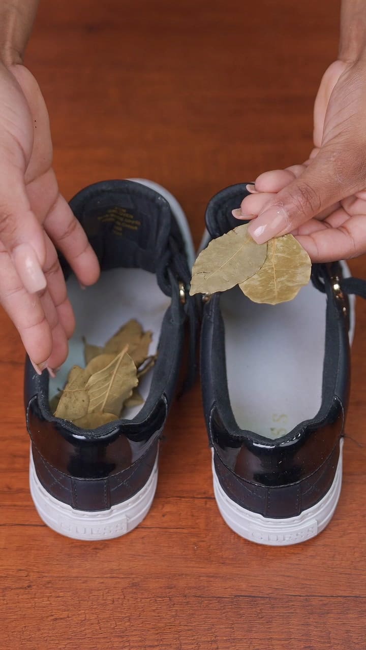 Coloca Hojas De Laurel En Tu Zapatos, Y Te Sorprenderán Los Resultados- Amuleto De Los Millonarios!