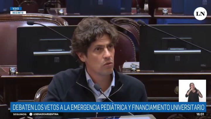 El discurso de Martín Lousteau en el debate por los vetos de Milei