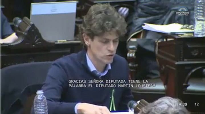 Debate por el aborto: Martín Lousteau manifestó su postura y mencionó a Pérez Volpin - Fuente: HCDN