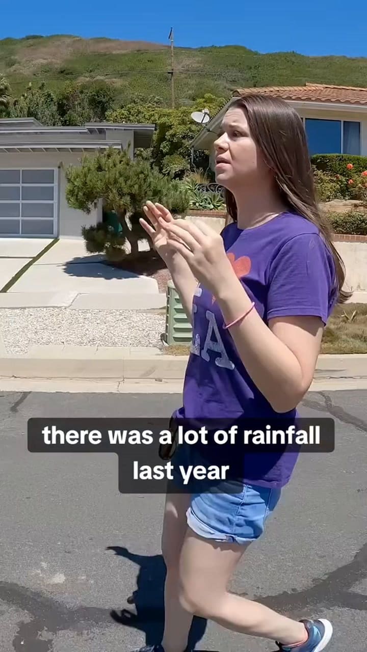 Tiktokers Muestran El Desastre