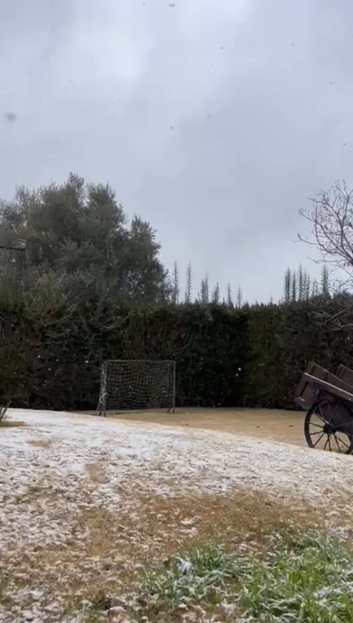 Vecinos sorprendidos por la nieve en sus jardines en Mendoza