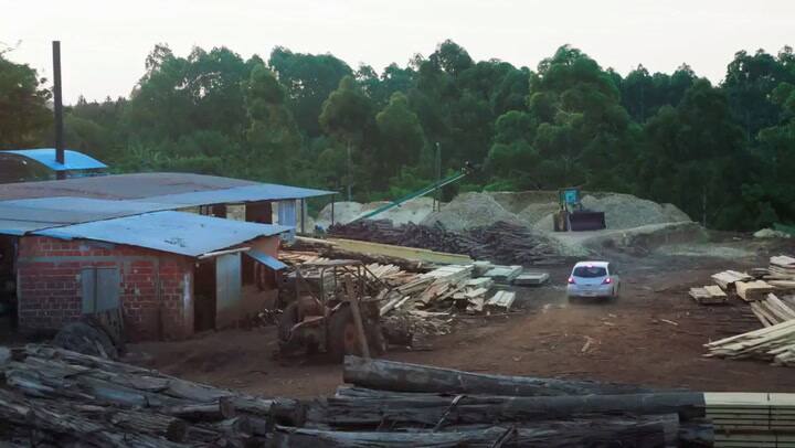 Una especie de familia - Trailer