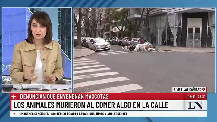 Animales envenenados en el barrio porteno de Palermo II