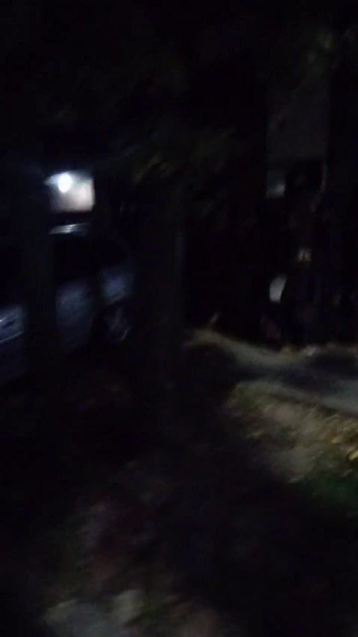 Whatsapp Video 2024-04-30 At 11.49.30