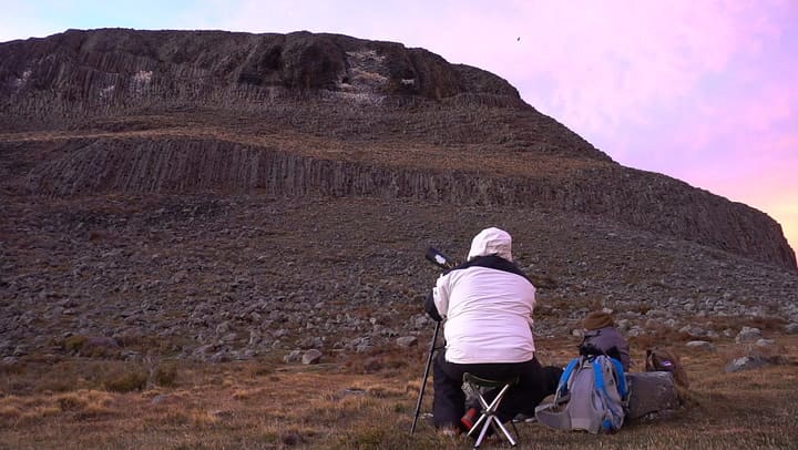 El minucioso trabajo de relevamiento de los cóndores