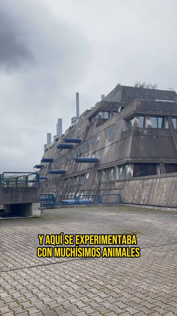 Lugares abandonados: el Mäusebunker