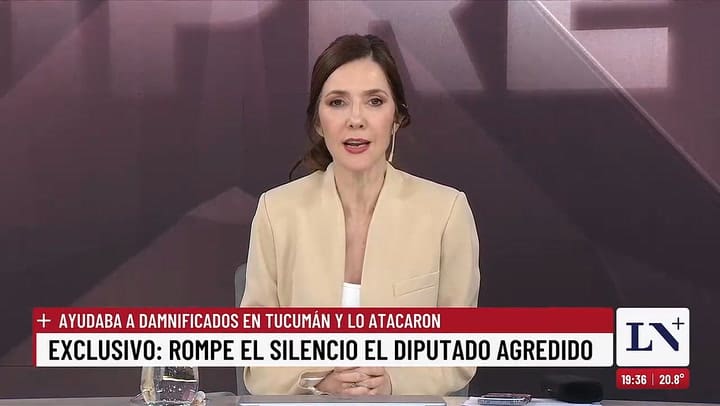 Diputado libertario Pelli