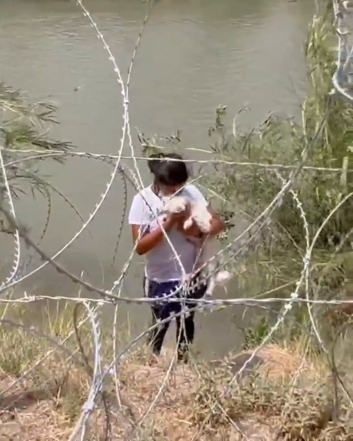 El perro Chiki y su dueño estaban desconsolados después de ser separados