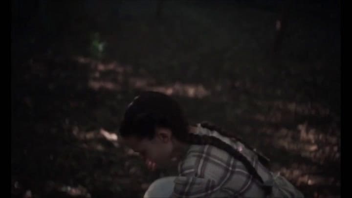 Trailer de El seductor