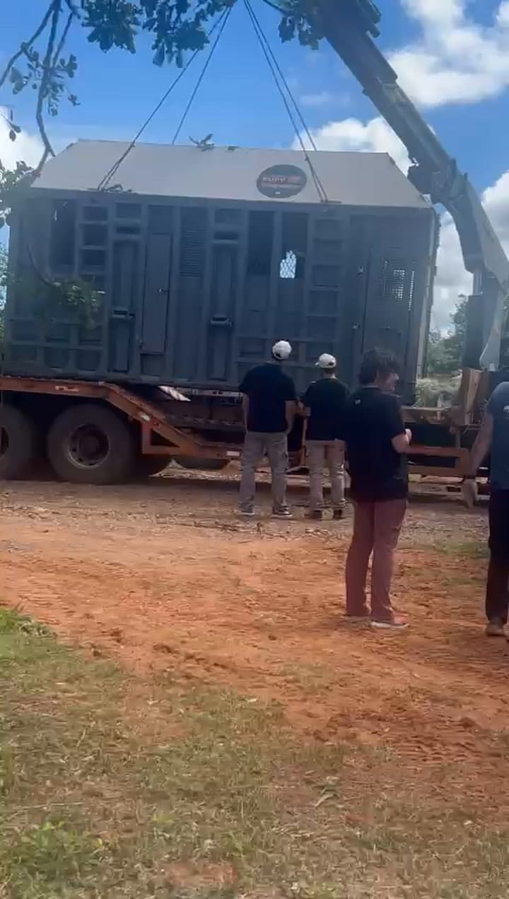 La llegada de Pupy al santuario