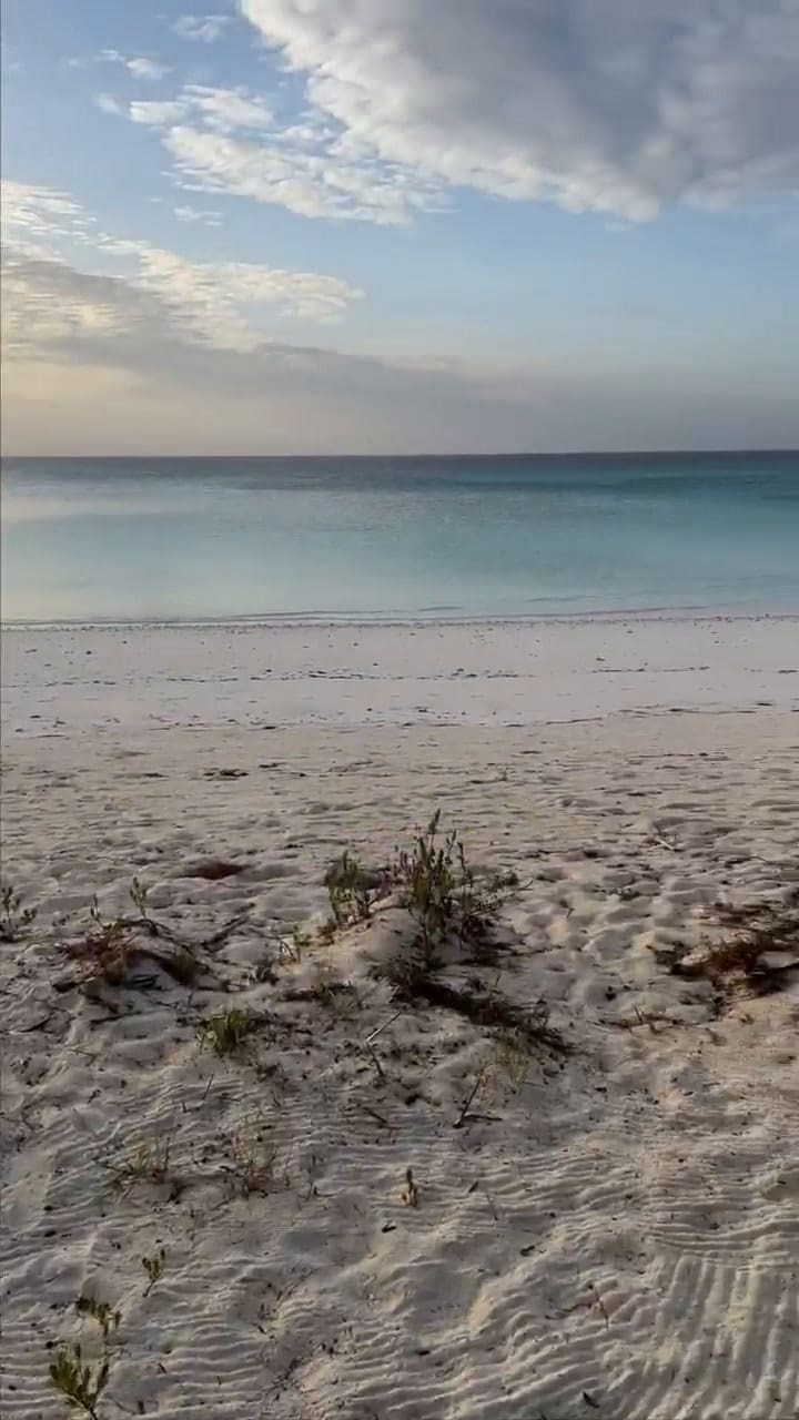 Mauro Icardi compartió un romántico video con Wanda Nara y dejó un tajante mensaje