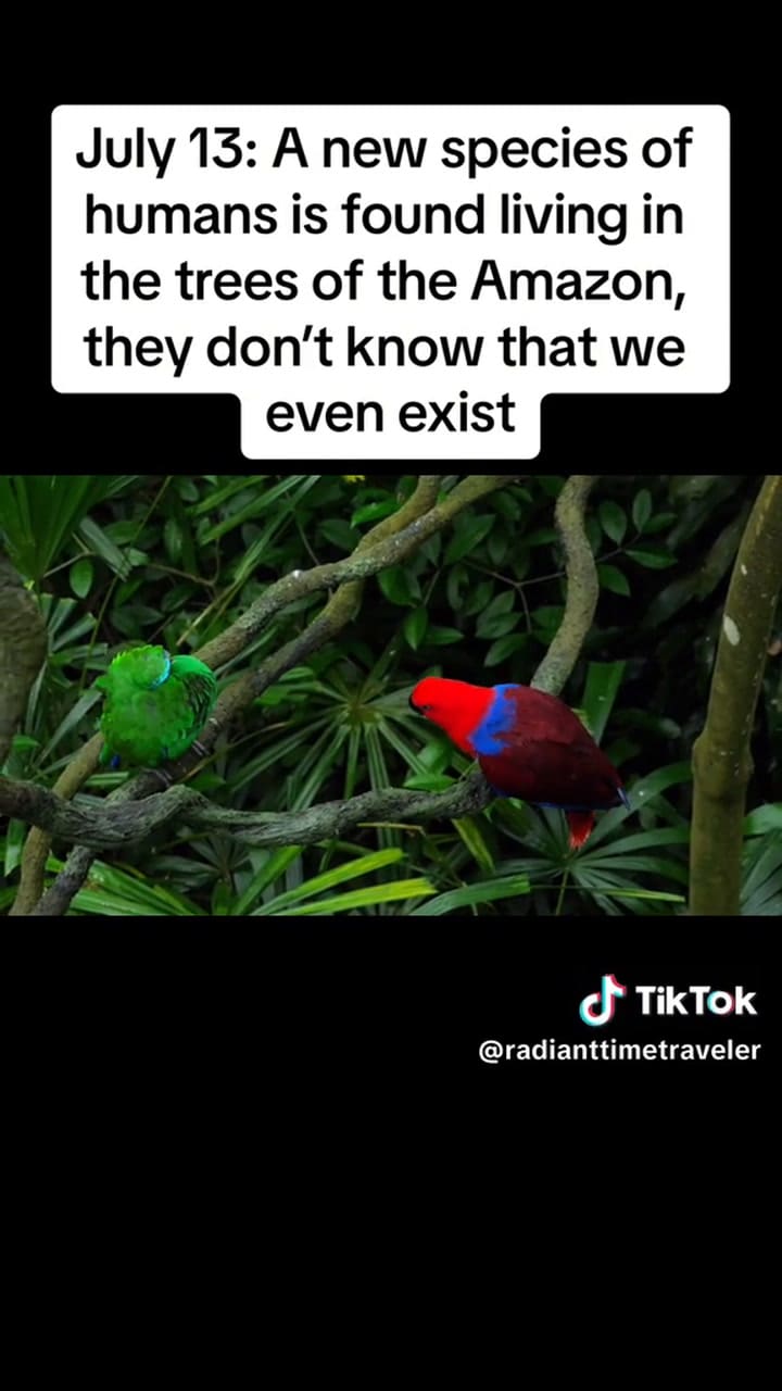 Predicen La Erupción Del Volcán Yellowstone