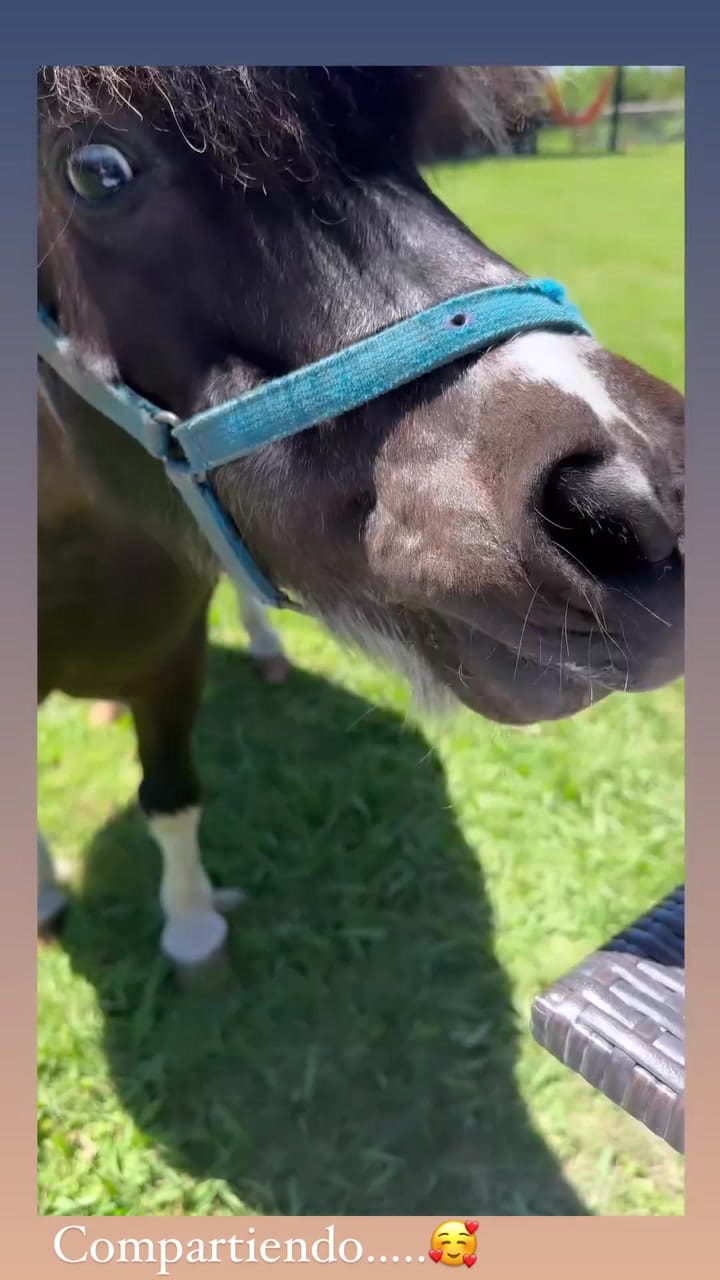 Gicwmaavujmr33mcald7o4lsvyjdbpr1aaaf