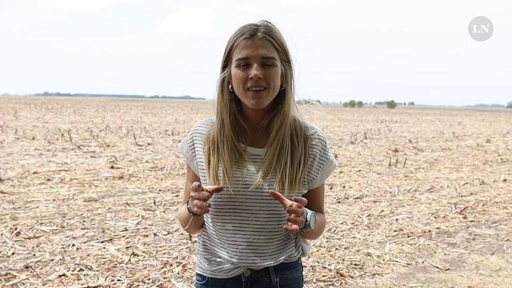 Los agro exportadores una vez más se quejaron de los problemas de la sequia
