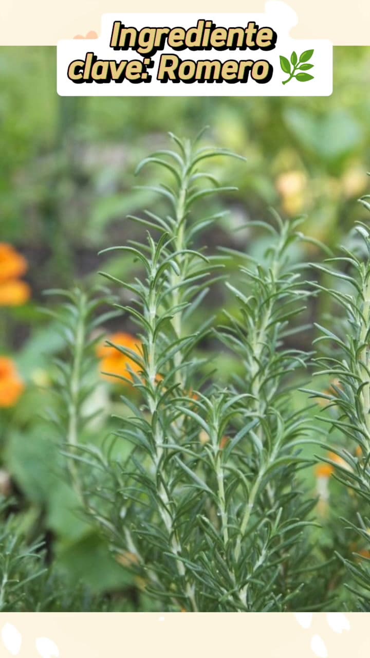 El tinte natural que ayuda a tapar las canas