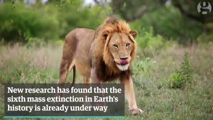 La sexta extinción masiva está en camino