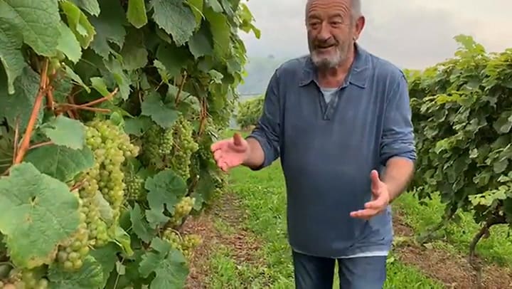 Karlos Arguiñano recorre sus viñedos