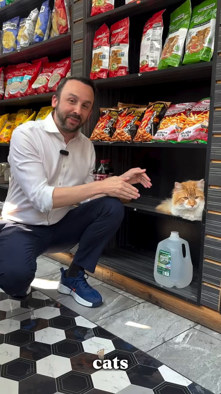 La propuesta para tener siempre un animal clave en las bodegas de Nueva York