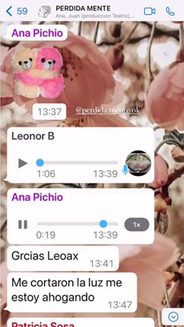 El desesperado pedido de Ana María Picchio