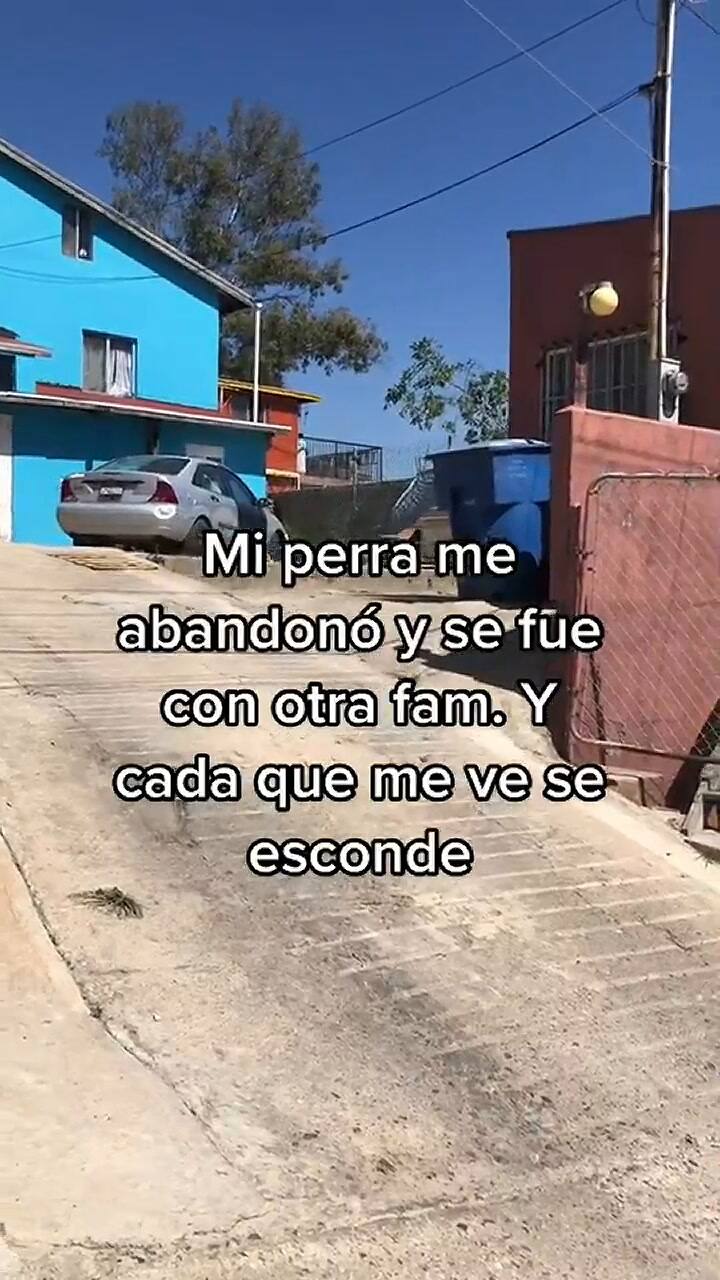 La reacción de la perra la dejó atónita