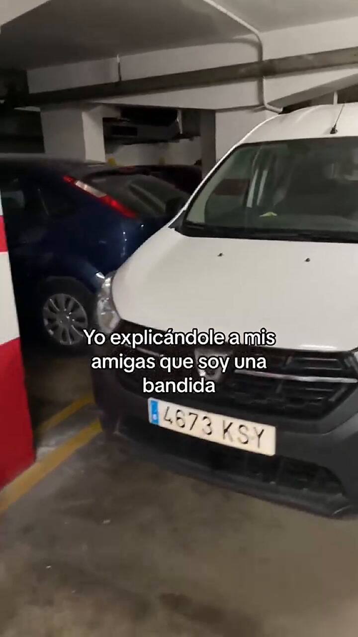 La venganza de una mujer al ver que un auto estaba estacionado en su parcela