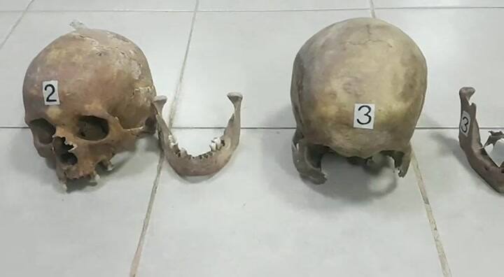 La Aduana secuestró cuatro calaveras humanas en una valija