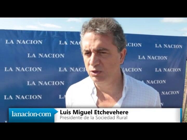 Etchevehere: 'Scioli, como candidato, tiene que decir qué va a hacer'