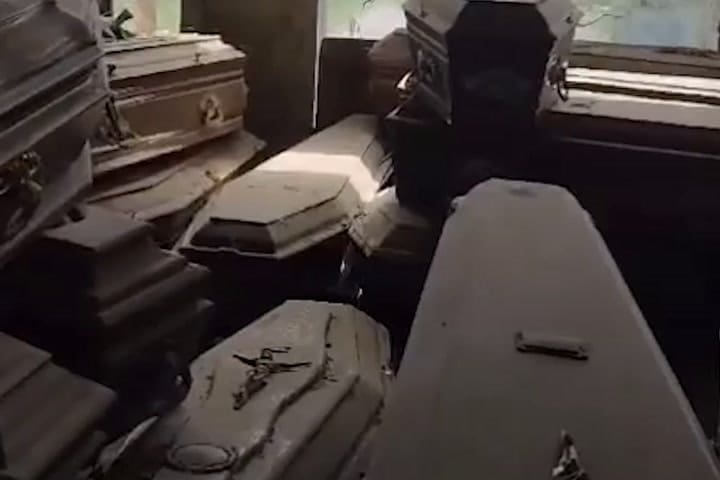 El hallazgo en el Cementerio Municipal de La Plata - GIF