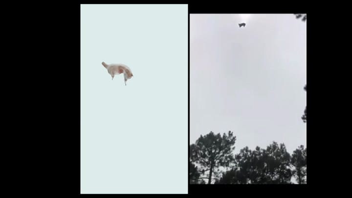 Ambos videos, lado a lado