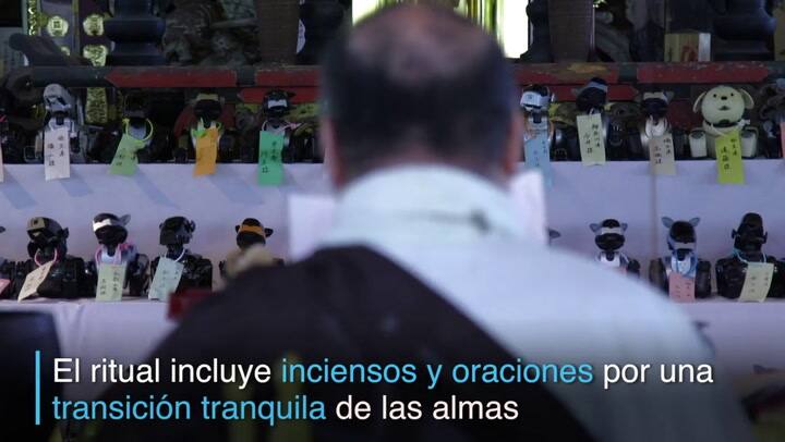 Japón despide a sus perros robots estropeados con un funeral tradicional - Fuente: AFP