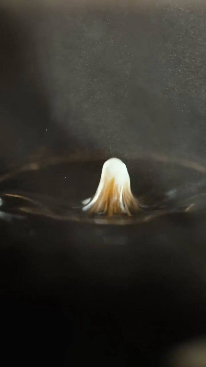 El nuevo café con aceite de oliva de Starbucks