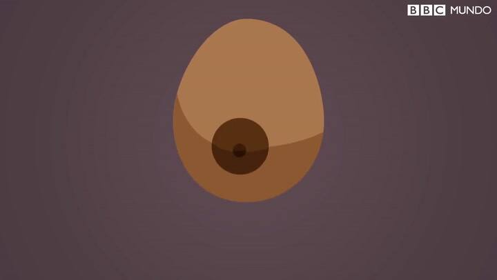 12 síntomas para detectar el cáncer de mama, el más común entre las mujeres - Fuente: BBC