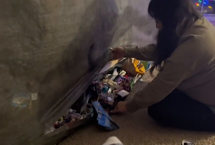 Una mujer le hizo un corte a su sofá y lo que encontró escondido la dejó sin palabras