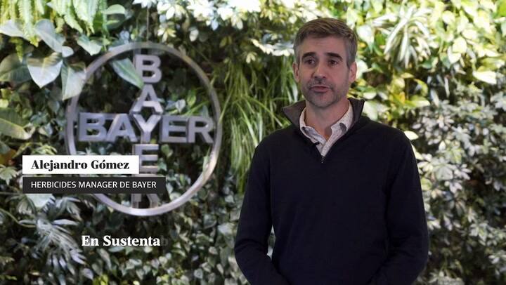 Malezas. Innovación, sustentabilidad y transformación digital, los pilares para un control integral.