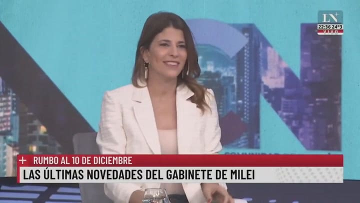 Rumbo al traspaso de mando: los proyectos de Javier Milei para el país