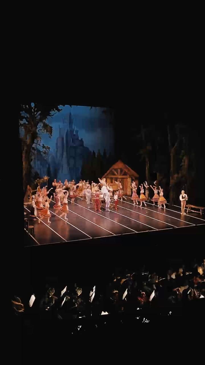 Es un ensayo del Ballet Estable del Teatro Colón haciendo Giselle